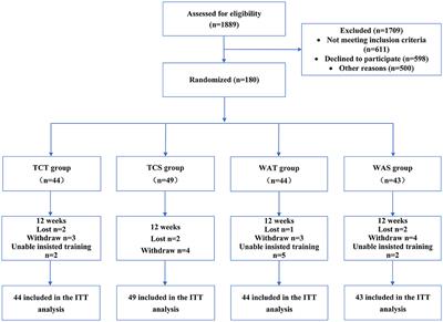 Effects of Tai Chi combined with tDCS on cognitive function in patients with MCI: a randomized controlled trial